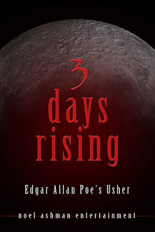Affiche de 3 Days Rising