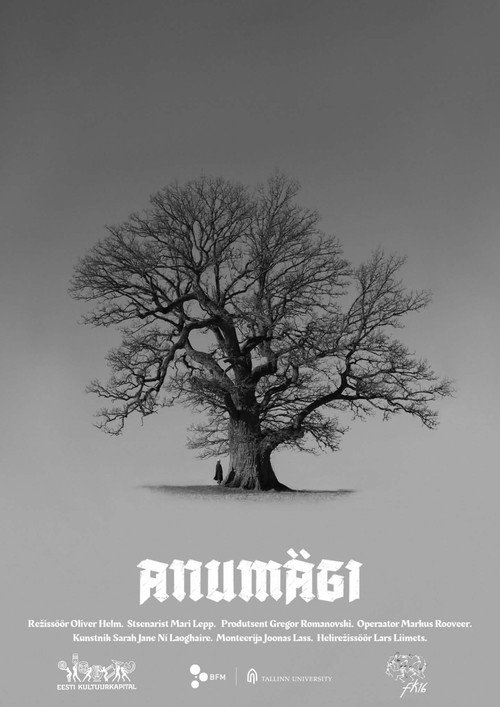 Affiche de Anumägi