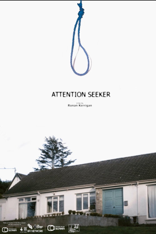 Affiche de Attention Seeker