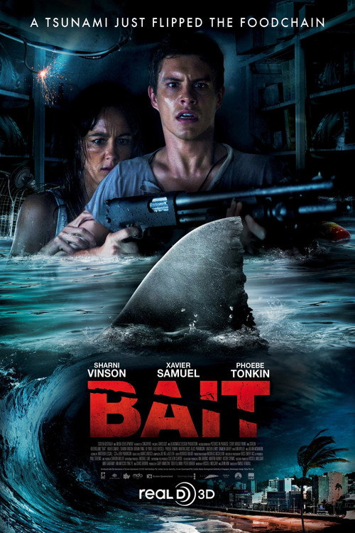 Affiche de Bait