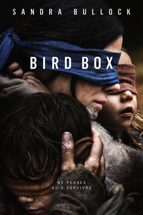 Affiche de Bird Box