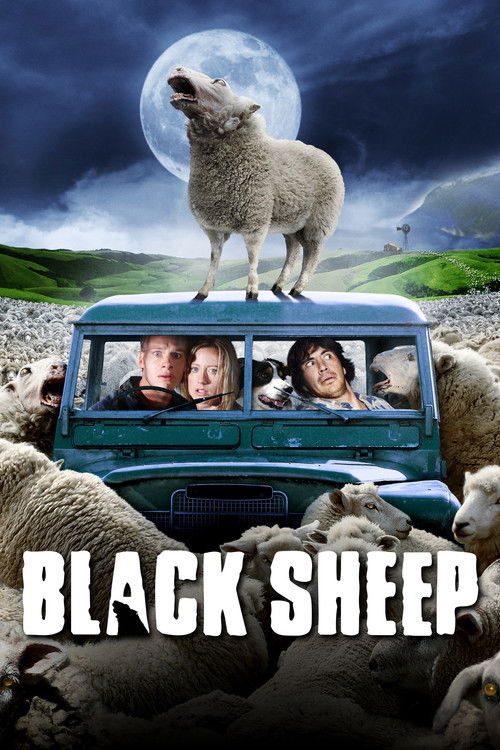 Affiche de Black Sheep
