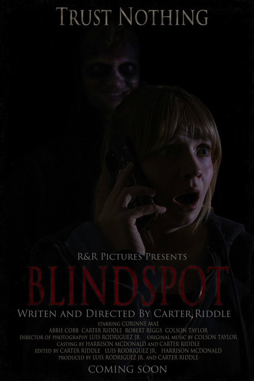 Affiche de BLINDSPOT