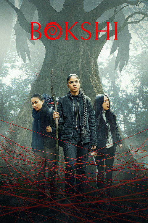 Affiche de Bokshi