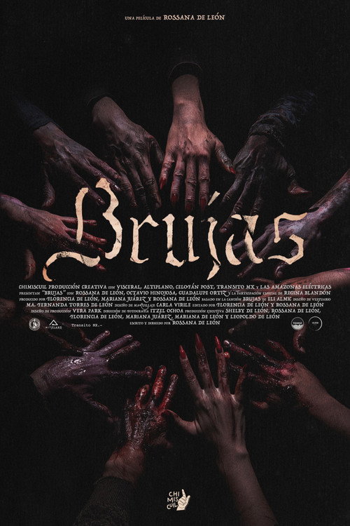Affiche de Brujas