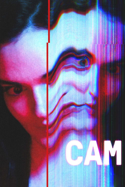 Affiche de Cam