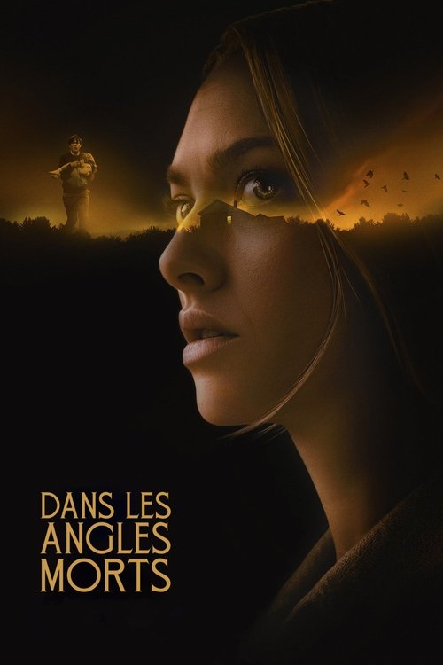 Affiche de Dans les angles morts