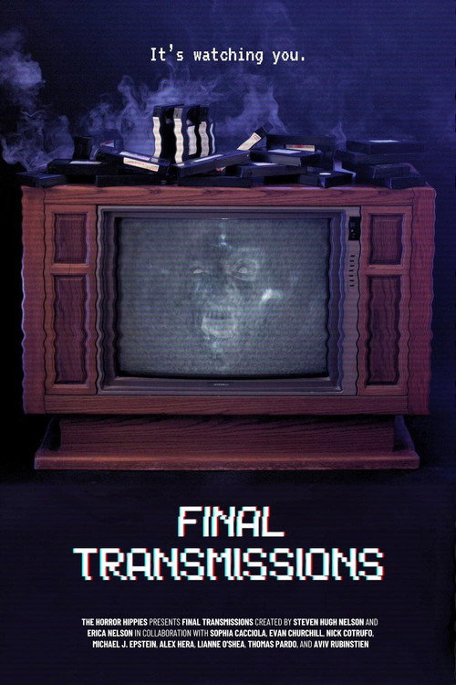 Affiche de Final Transmissions