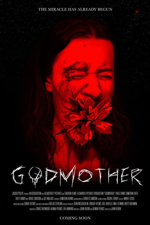 Affiche de Godmother