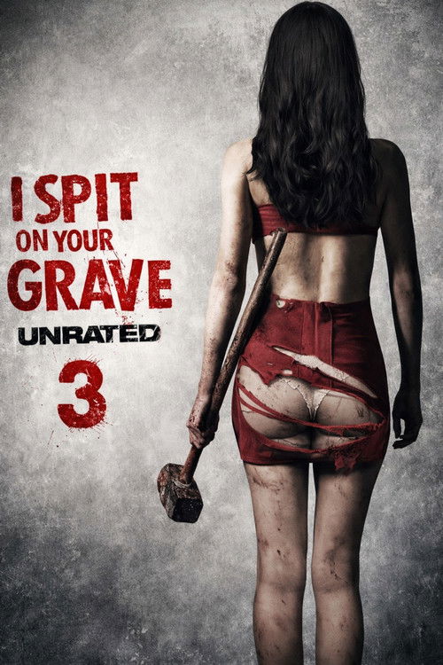 Affiche de I Spit on Your Grave 3 : Vengeance is Mine