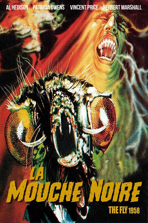 Affiche de La Mouche noire
