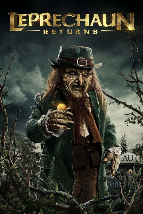 Affiche de Leprechaun Returns
