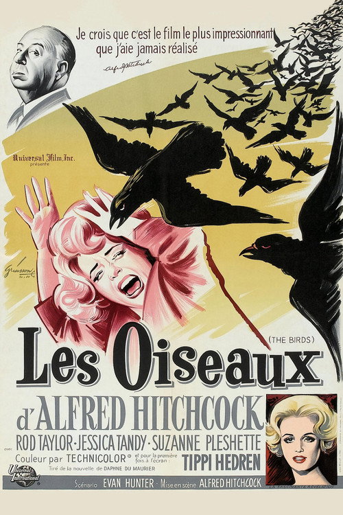 Affiche de Les Oiseaux