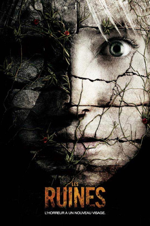Affiche de Les Ruines