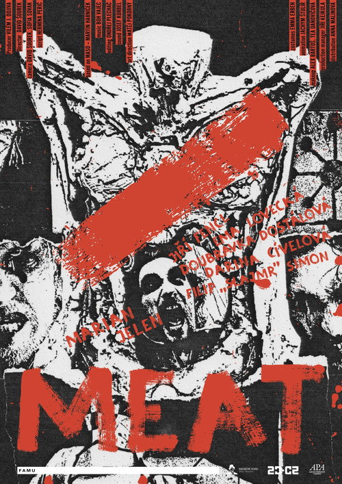 Affiche de MASO