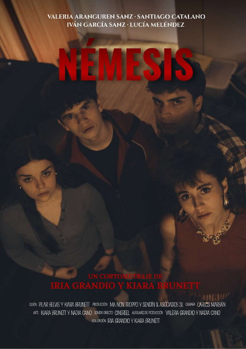 Affiche de Némesis