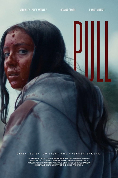 Affiche de Pull