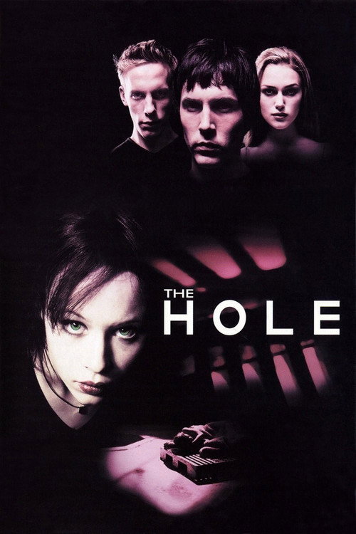Affiche de The Hole