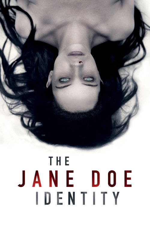 Affiche de The Jane Doe Identity