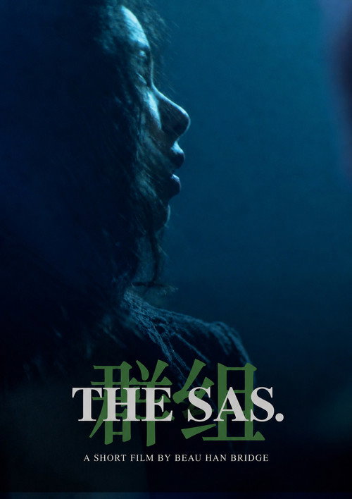 Affiche de The SAS