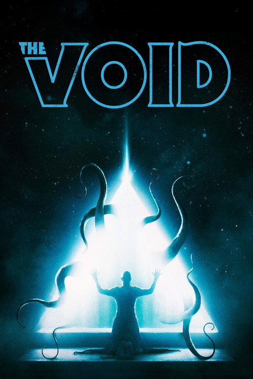 Affiche de The Void