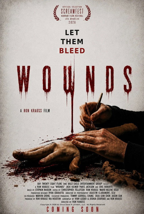 Affiche de Wounds