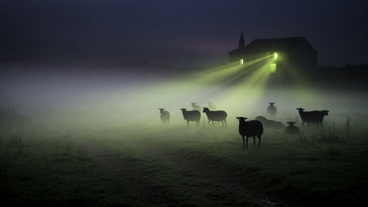 Champ brumeux la nuit avec des silhouettes de moutons en contre-jour près d'une ferme isolée, ambiance horreur rurale