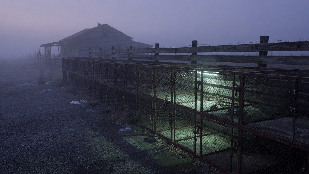 Un ranch isolé dans la brume avec des cages vides, ambiance inquiétante au crépuscule
