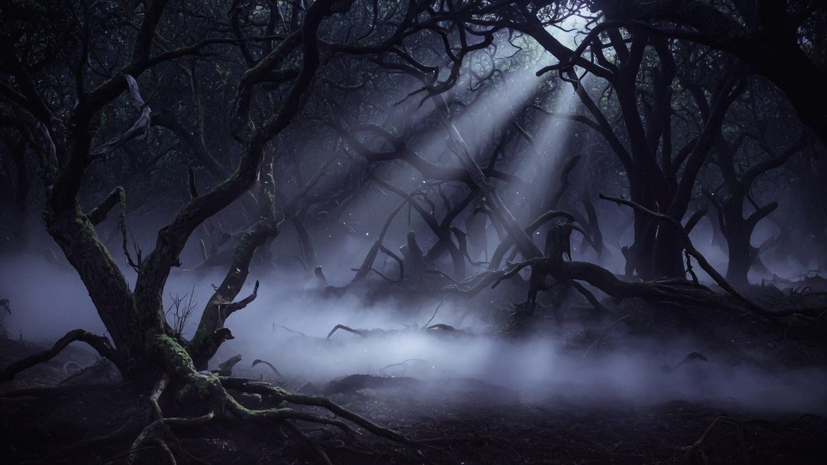 Forêt sombre et brumeuse la nuit avec des arbres aux silhouettes inquiétantes