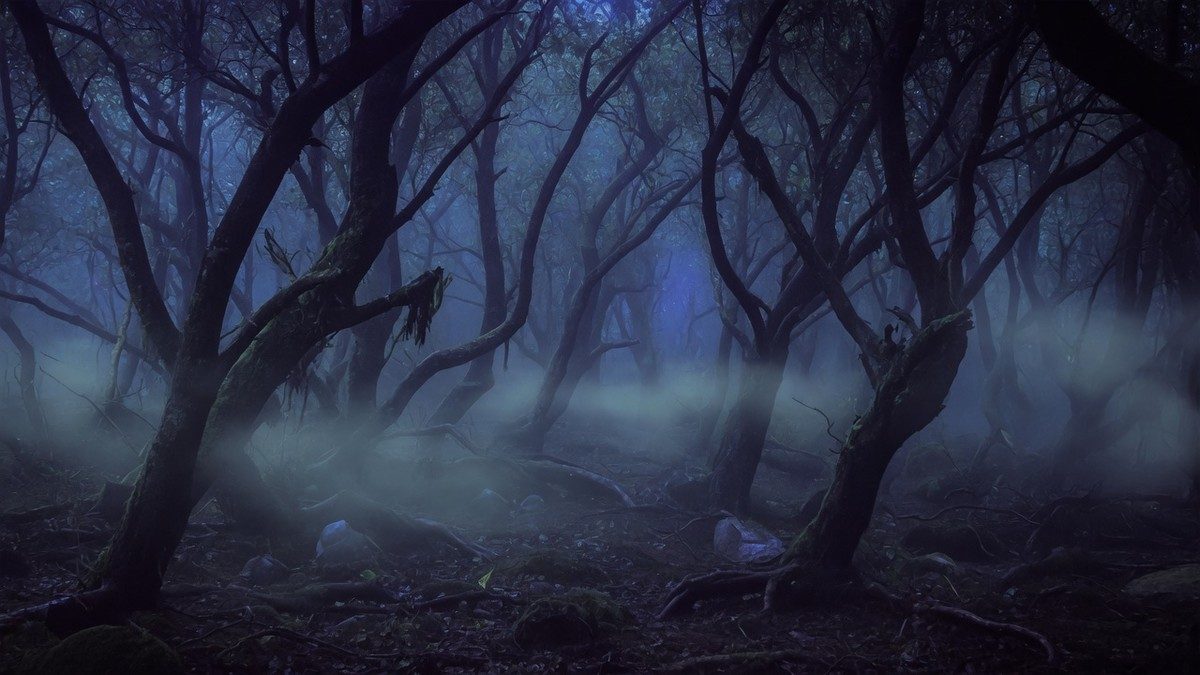 Forêt sombre et brumeuse la nuit, ambiance oppressante de survival horror