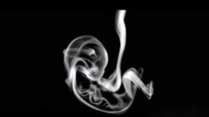 Analyse de personnalité : ce que vos premières observations révèlent sur votre état de besoin ou de vertu