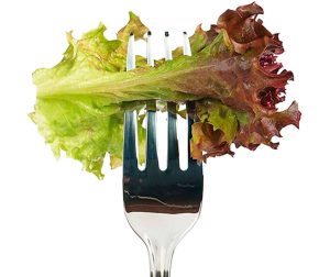 Cuivre et métabolisme : comprendre l'importance de cet oligo-élément dans notre alimentation