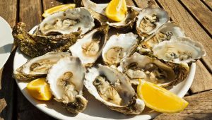 Découvrez quand et pourquoi les huîtres deviennent laiteuses