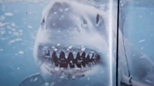 Capture écran bande annonce "JAWS"