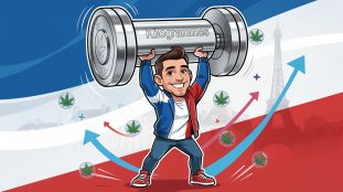 découvrez kilogrammes, la marque phare du cbd en france, qui s'impose rapidement comme une référence incontournable grâce à sa qualité et son expertise.