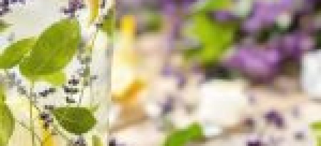 Une tisane glacée redécouverte apaise ses bouffées de chaleur “ma grand-mère en buvait déjà en 1960”